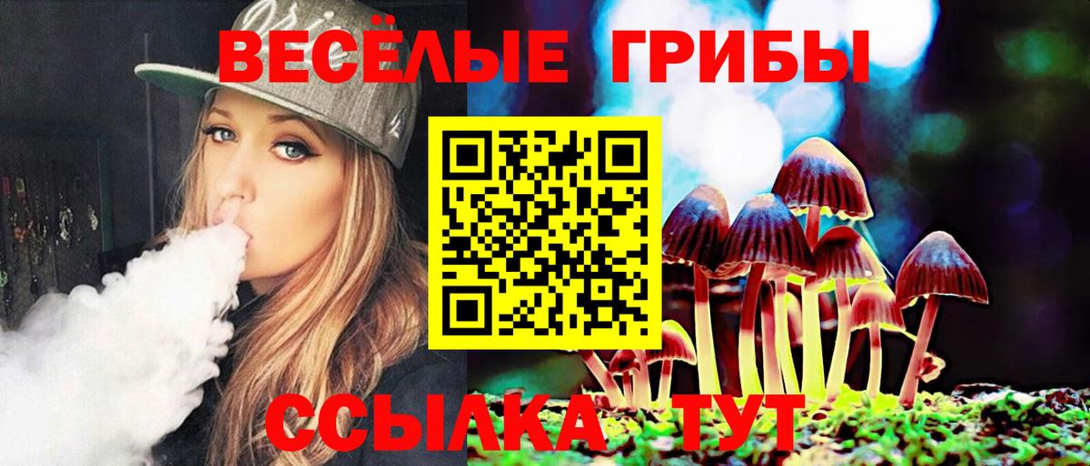 Галлюциногенные грибы GOLDEN TEACHER Ессентуки